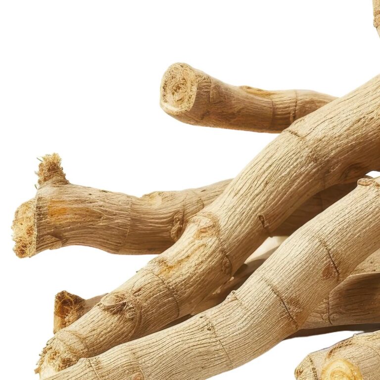 Ashwagandha — Withania somnifera, KSM-66®