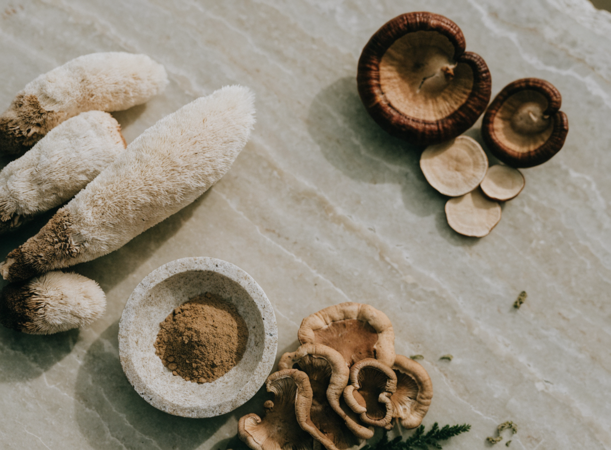 Sušené houby lion's mane, reishi a maitake na světlém kameni