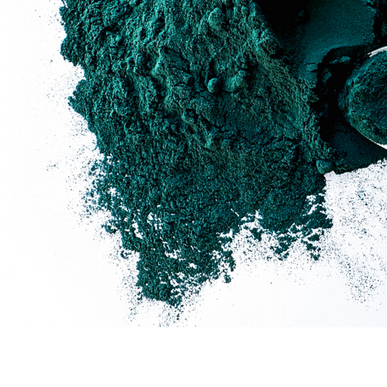 Spirulina — Arthrospira platensis